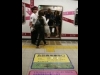 ̾�Ų����ϲ�Ŵ���������Ѽ�ξ�λ��ֳ����ͼ���ʹߤ�»�