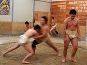 ̾�Ų���ǥ��ޥ��奢�������ݥ���ֲ��ڡ��־�����ϡץ��硼��