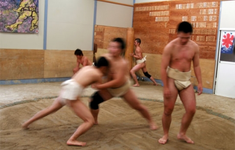 ̾�Ų���ǥ��ޥ��奢�������ݥ���ֲ��ڡ��־�����ϡץ��硼��
