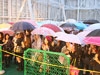 雨の中、DAIGOさんを待つファン